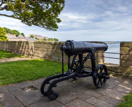 a cannon symbolizes the blend of nature